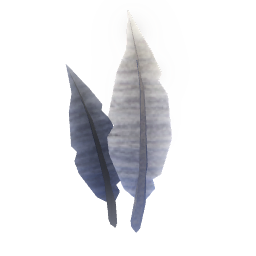 Feather artifact