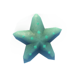 Sea Star artifact