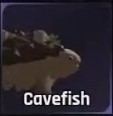 Cavefish