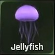 Jellyfish