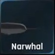 Narwhal