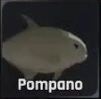 Pompano