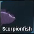 Scorpionfish